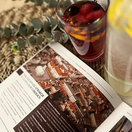 Kairos - Silver - Darmowy Parking, Scisle Centrum * Hlivice